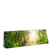 Xxl Wandbild Herbstlicher Wald Panorama Produktvorschau Seitlich