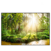 Xxl Wandbild Herbstlicher Wald Querformat Produktvorschau Frontal