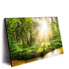 Xxl Wandbild Herbstlicher Wald Querformat Produktvorschau Seitlich