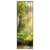 Xxl Wandbild Herbstlicher Wald Schmal Produktvorschau Frontal