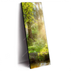 Xxl Wandbild Herbstlicher Wald Schmal Produktvorschau Seitlich