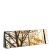 Xxl Wandbild Herbstspaziergang Panorama Produktvorschau Seitlich