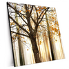 Xxl Wandbild Herbstspaziergang Quadrat Produktvorschau Seitlich