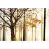 Xxl Wandbild Herbstspaziergang Querformat Motivvorschau