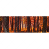 Xxl Wandbild Herbstwald Panorama Motivvorschau