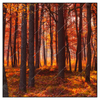 Xxl Wandbild Herbstwald Quadrat Produktvorschau Frontal
