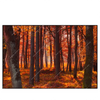 Xxl Wandbild Herbstwald Querformat Produktvorschau Frontal