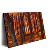 Xxl Wandbild Herbstwald Querformat Produktvorschau Seitlich