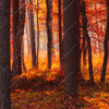 Xxl Wandbild Herbstwald Querformat Zoom