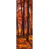 Xxl Wandbild Herbstwald Schmal Motivvorschau