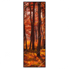 Xxl Wandbild Herbstwald Schmal Produktvorschau Frontal
