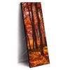 Xxl Wandbild Herbstwald Schmal Produktvorschau Seitlich