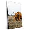 Xxl Wandbild Highlander Familie Hochformat Produktvorschau Seitlich