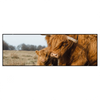 Xxl Wandbild Highlander Familie Panorama Produktvorschau Frontal