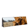 Xxl Wandbild Highlander Familie Panorama Produktvorschau Seitlich