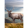 Xxl Wandbild Hirsch In Der Herbstzeit Hochformat Motivvorschau