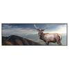 Xxl Wandbild Hirsch In Der Herbstzeit Panorama Produktvorschau Frontal