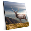 Xxl Wandbild Hirsch In Der Herbstzeit Quadrat Produktvorschau Seitlich