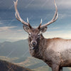 Xxl Wandbild Hirsch In Der Herbstzeit Quadrat Zoom