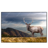 Xxl Wandbild Hirsch In Der Herbstzeit Querformat Produktvorschau Frontal