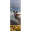 Xxl Wandbild Hirsch In Der Herbstzeit Schmal Motivvorschau