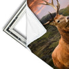 Xxl Wandbild Hirsch In Gebirgslandschaft Hochformat Materialvorschau