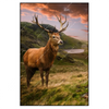 Xxl Wandbild Hirsch In Gebirgslandschaft Hochformat Produktvorschau Frontal