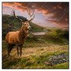 Xxl Wandbild Hirsch In Gebirgslandschaft Quadrat Produktvorschau Frontal