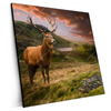 Xxl Wandbild Hirsch In Gebirgslandschaft Quadrat Produktvorschau Seitlich