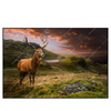 Xxl Wandbild Hirsch In Gebirgslandschaft Querformat Produktvorschau Frontal
