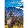 Xxl Wandbild Hirsch Vor Bergkulisse Hochformat Motivvorschau