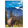 Xxl Wandbild Hirsch Vor Bergkulisse Hochformat Produktvorschau Frontal