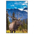 Xxl Wandbild Hirsch Vor Bergkulisse Hochformat Produktvorschau Frontal