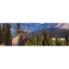 Xxl Wandbild Hirsch Vor Bergkulisse Panorama Motivvorschau