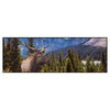 Xxl Wandbild Hirsch Vor Bergkulisse Panorama Produktvorschau Frontal