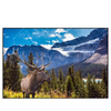 Xxl Wandbild Hirsch Vor Bergkulisse Querformat Produktvorschau Frontal