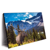Xxl Wandbild Hirsch Vor Bergkulisse Querformat Produktvorschau Seitlich