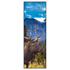Xxl Wandbild Hirsch Vor Bergkulisse Schmal Produktvorschau Frontal