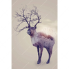 Xxl Wandbild Hirsch Wald No 1 Hochformat Motivvorschau