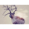 Xxl Wandbild Hirsch Wald No 1 Querformat Motivvorschau