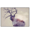 Xxl Wandbild Hirsch Wald No 1 Querformat Produktvorschau Frontal