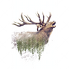 Xxl Wandbild Hirsch Wald No 2 Hochformat Motivvorschau