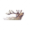 Xxl Wandbild Hirsch Wald No 2 Panorama Motivvorschau