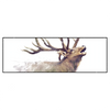 Xxl Wandbild Hirsch Wald No 2 Panorama Produktvorschau Frontal