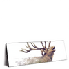 Xxl Wandbild Hirsch Wald No 2 Panorama Produktvorschau Seitlich