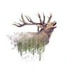 Xxl Wandbild Hirsch Wald No 2 Quadrat Motivvorschau