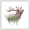 Xxl Wandbild Hirsch Wald No 2 Quadrat Produktvorschau Frontal