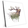 Xxl Wandbild Hirsch Wald No 2 Quadrat Produktvorschau Seitlich