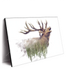 Xxl Wandbild Hirsch Wald No 2 Querformat Produktvorschau Seitlich