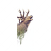 Xxl Wandbild Hirsch Wald No 2 Schmal Motivvorschau
